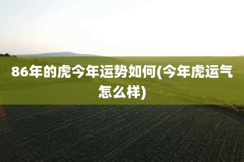 86年的虎今年运势如何(今年虎运气怎么样)