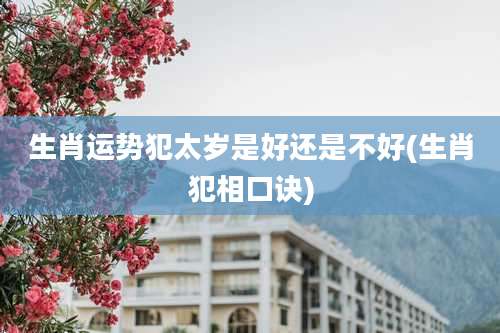 生肖运势犯太岁是好还是不好(生肖犯相口诀)