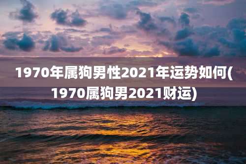 1970年属狗男性2021年运势如何(1970属狗男2021财运)