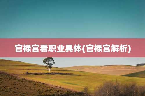 官禄宫看职业具体(官禄宫解析)