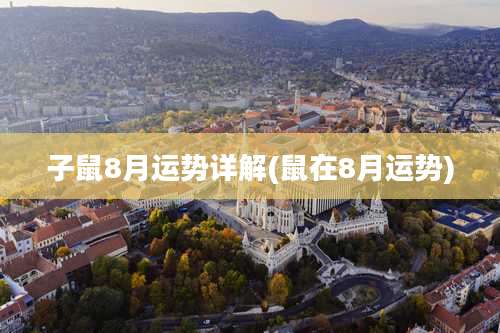 子鼠8月运势详解(鼠在8月运势)