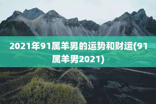 2021年91属羊男的运势和财运(91属羊男2021)