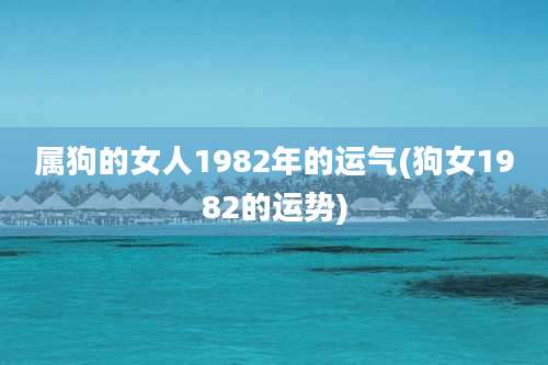 属狗的女人1982年的运气(狗女1982的运势)