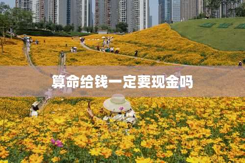 算命给钱一定要现金吗