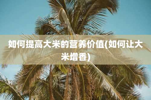 如何提高大米的营养价值(如何让大米增香)