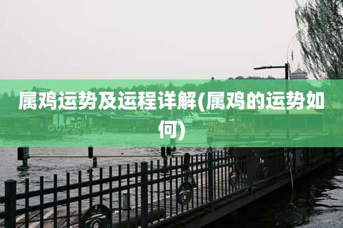 属鸡运势及运程详解(属鸡的运势如何)