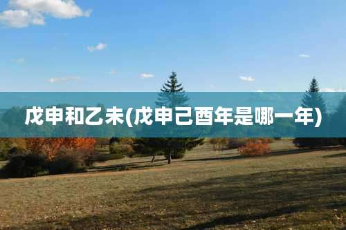 戊申和乙未(戊申己酉年是哪一年)