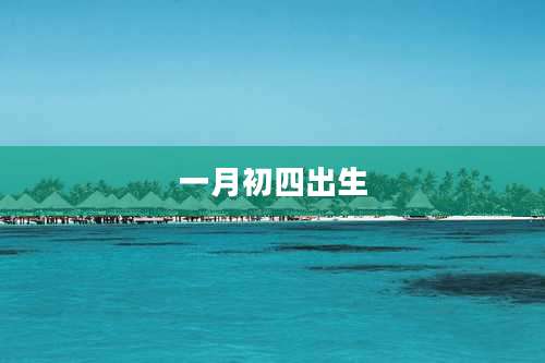 一月初四出生