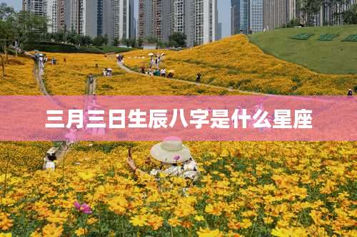 三月三日生辰八字是什么星座