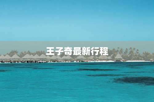 王子奇最新行程