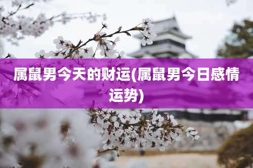 属鼠男今天的财运(属鼠男今日感情运势)
