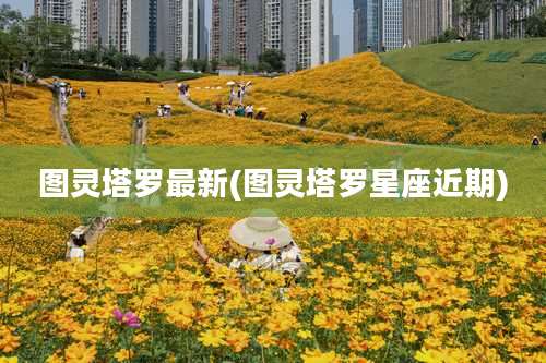 图灵塔罗最新(图灵塔罗星座近期)