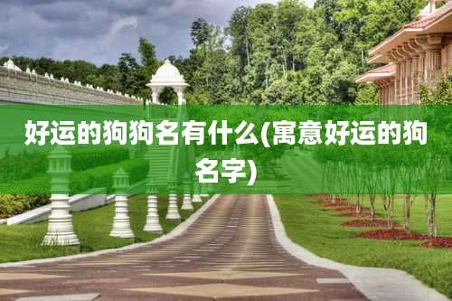 好运的狗狗名有什么(寓意好运的狗名字)