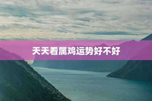 天天看属鸡运势好不好
