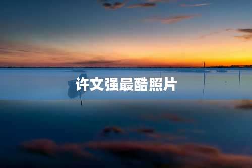 许文强最酷照片