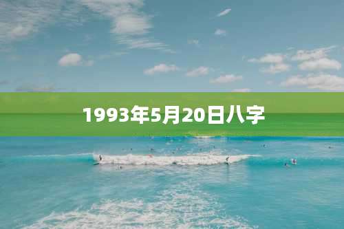 1993年5月20日八字