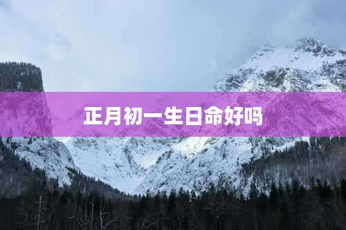 正月初一生日命好吗