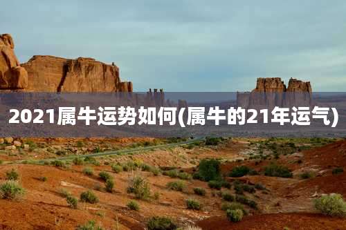 2021属牛运势如何(属牛的21年运气)