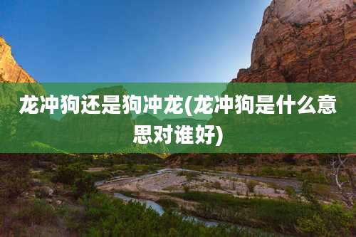 龙冲狗还是狗冲龙(龙冲狗是什么意思对谁好)