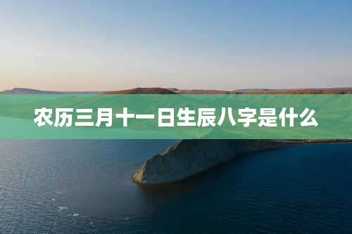 农历三月十一日生辰八字是什么