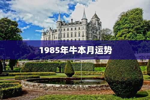 1985年牛本月运势