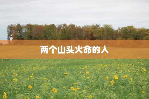 两个山头火命的人