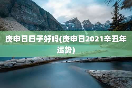 庚申日日子好吗(庚申日2021辛丑年运势)