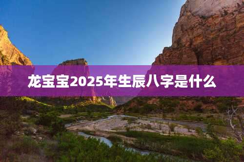 龙宝宝2025年生辰八字是什么