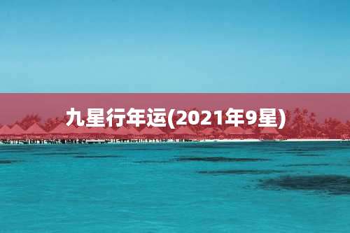 九星行年运(2021年9星)