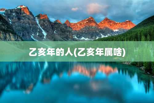 乙亥年的人(乙亥年属啥)