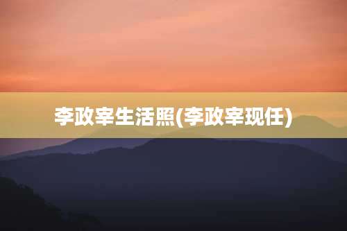 李政宰生活照(李政宰现任)