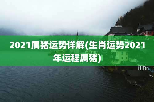 2021属猪运势详解(生肖运势2021年运程属猪)