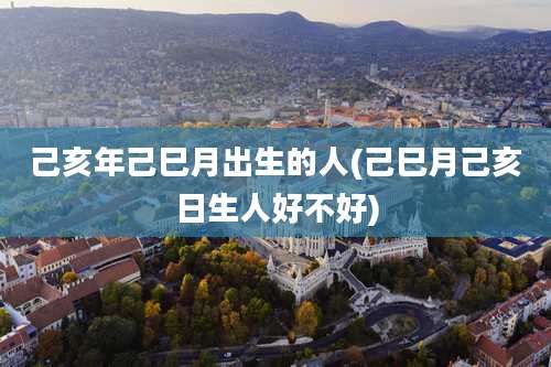 己亥年己巳月出生的人(己巳月己亥日生人好不好)