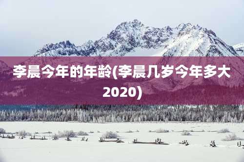 李晨今年的年龄(李晨几岁今年多大2020)