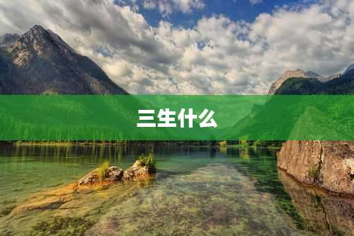 三生什么