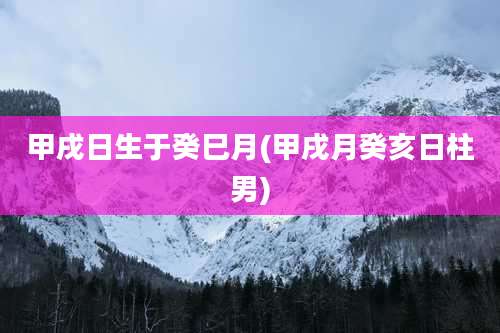 甲戌日生于癸巳月(甲戌月癸亥日柱男)