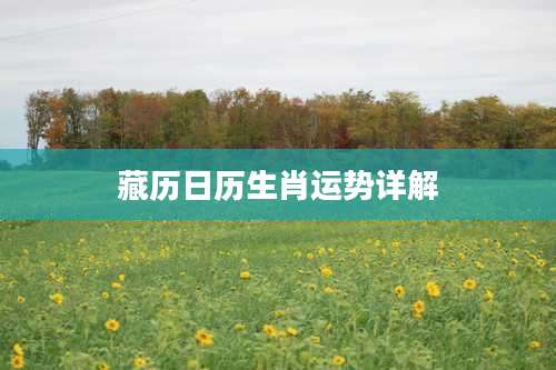 藏历日历生肖运势详解