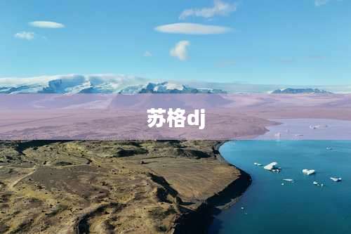 苏格dj