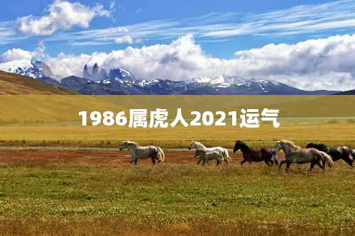 1986属虎人2021运气