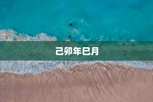 己卯年巳月