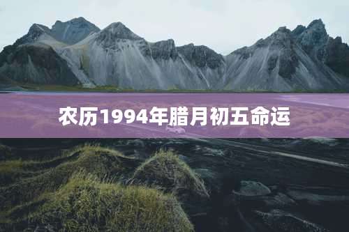 农历1994年腊月初五命运