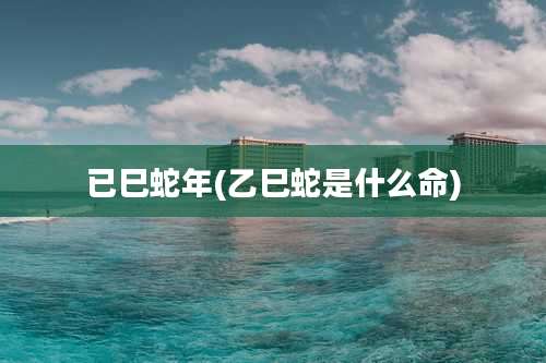 已巳蛇年(乙巳蛇是什么命)