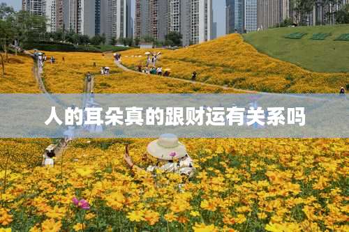 人的耳朵真的跟财运有关系吗