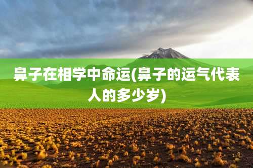 鼻子在相学中命运(鼻子的运气代表人的多少岁)