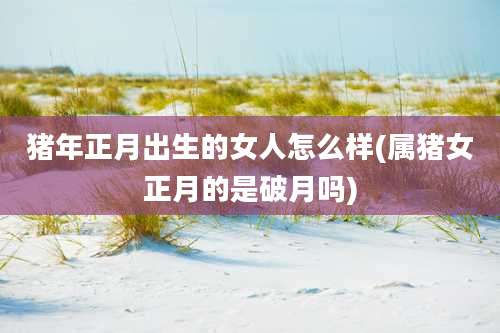 猪年正月出生的女人怎么样(属猪女正月的是破月吗)