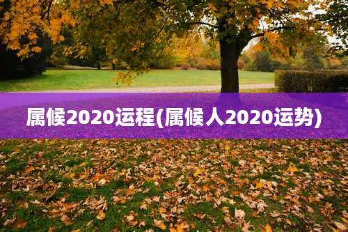 属候2020运程(属候人2020运势)