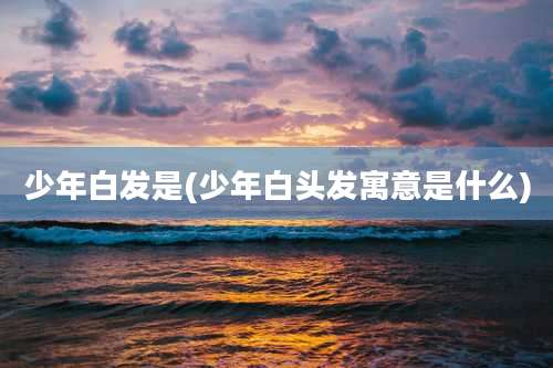 少年白发是(少年白头发寓意是什么)