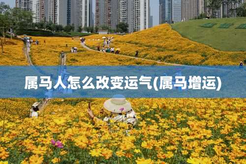 属马人怎么改变运气(属马增运)