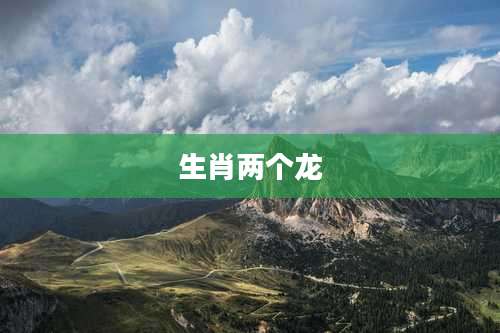 生肖两个龙
