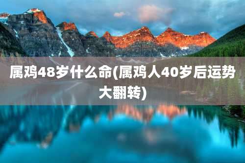 属鸡48岁什么命(属鸡人40岁后运势大翻转)